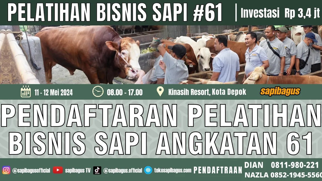 
                                 Pendaftaran-Pelatihan-Bisnis-Sapi-Angkatan-61